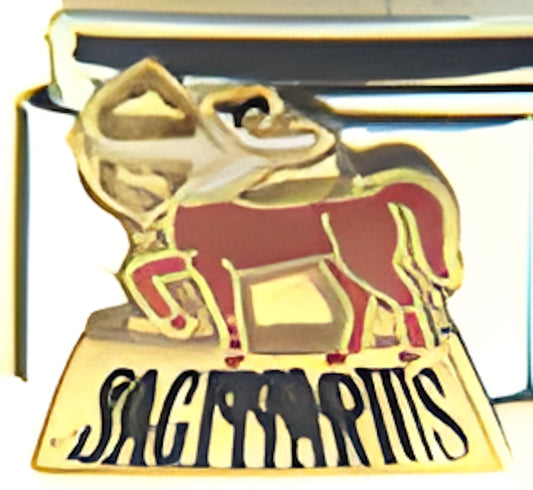Sagittarius Zodiac Nov 22-Dec 21