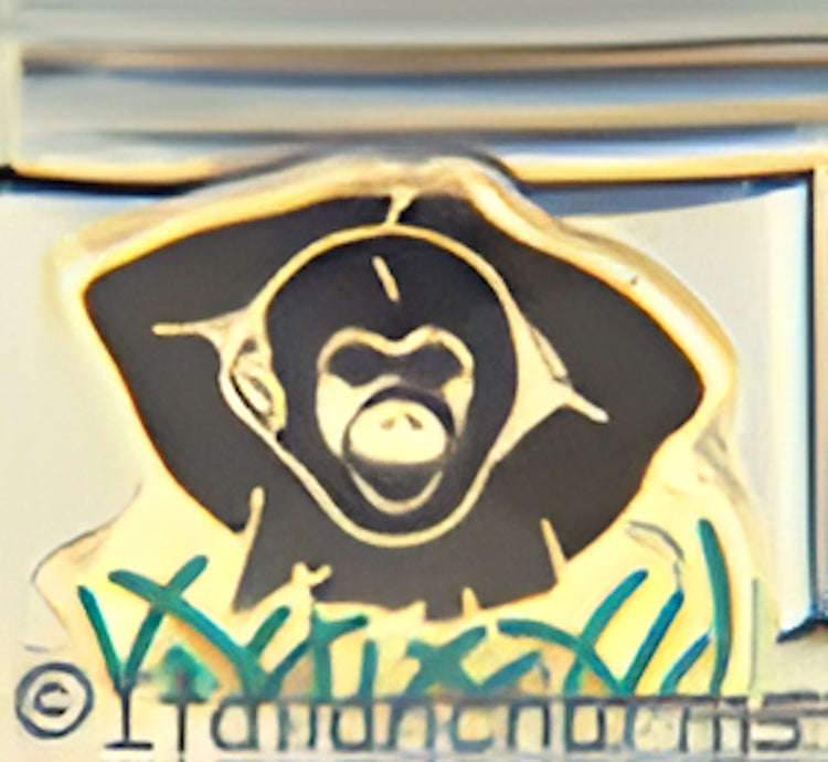 Black Ape on Grass