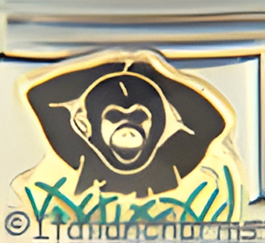 Black Ape on Grass