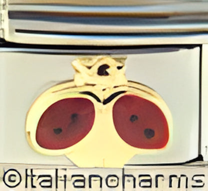 Red Open Winged Ladybug