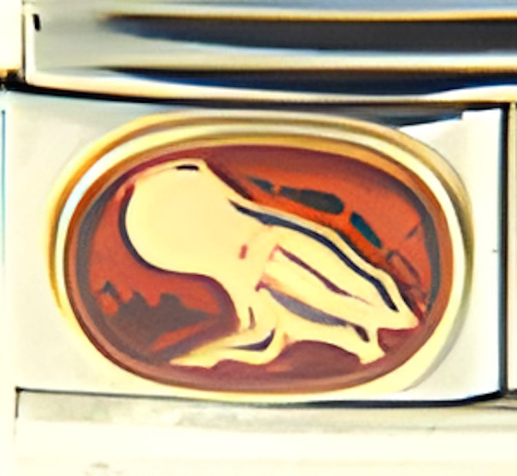 Red Aquarius zodiac Jan 20-Feb 18