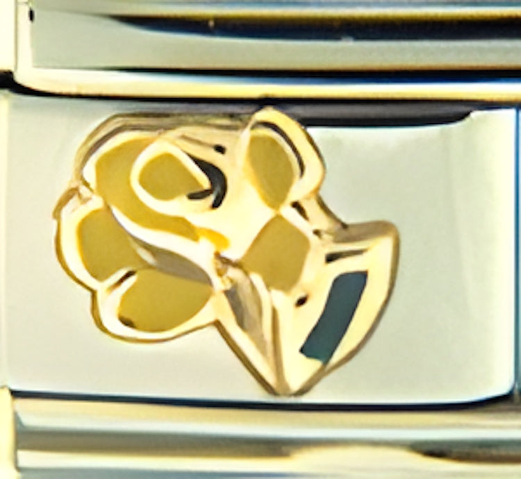 Yellow Rose