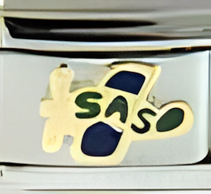 Blue and Green Plane SASO