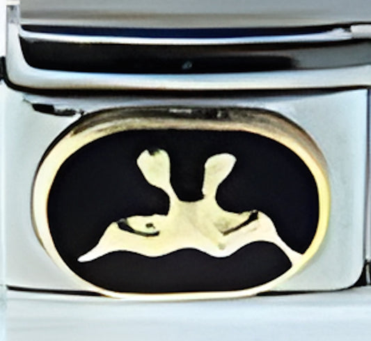 Black Gemini zodiac May 21-June 21