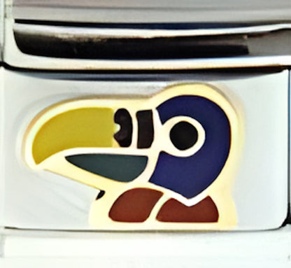 Toucan