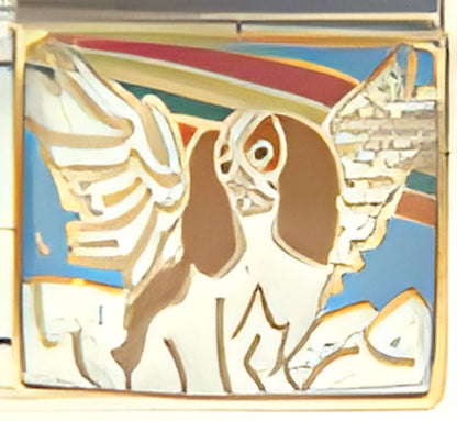 Blenheim Cavalier King Charles Spaniel Angel