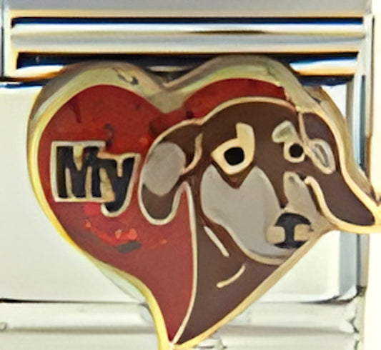My Brown Dachshund in Red Heart