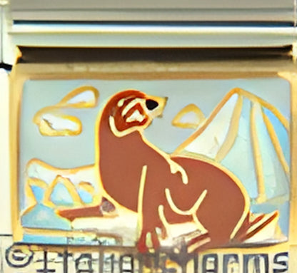 Brown Seal on Ice