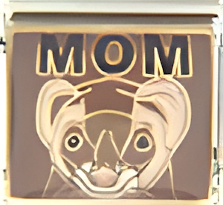 Ferret Mom