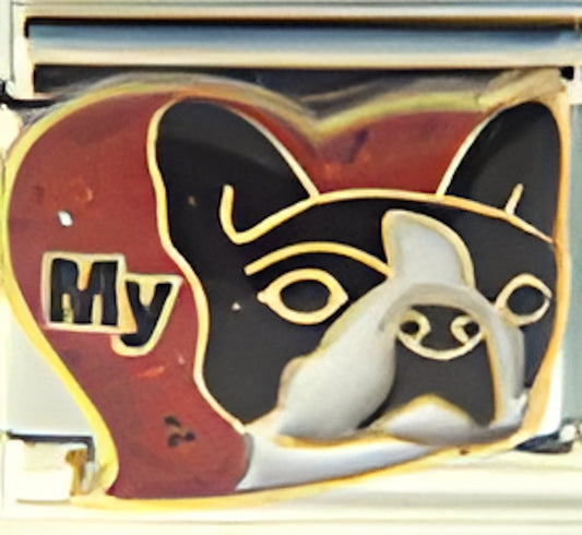 My Boston Terrier in Red Heart