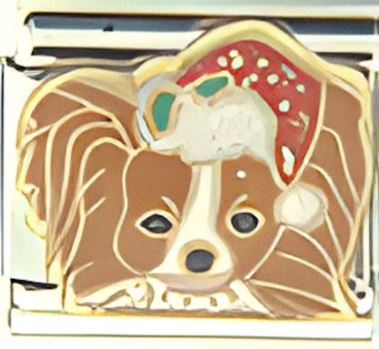 Pom Papillion Christmas Dog