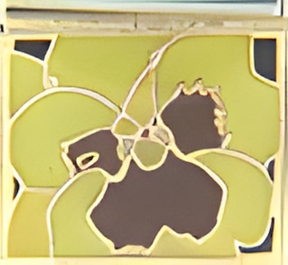 Yellow Pansy
