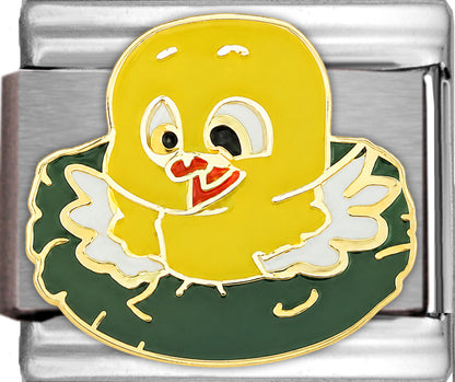 Baby Chick in Nest