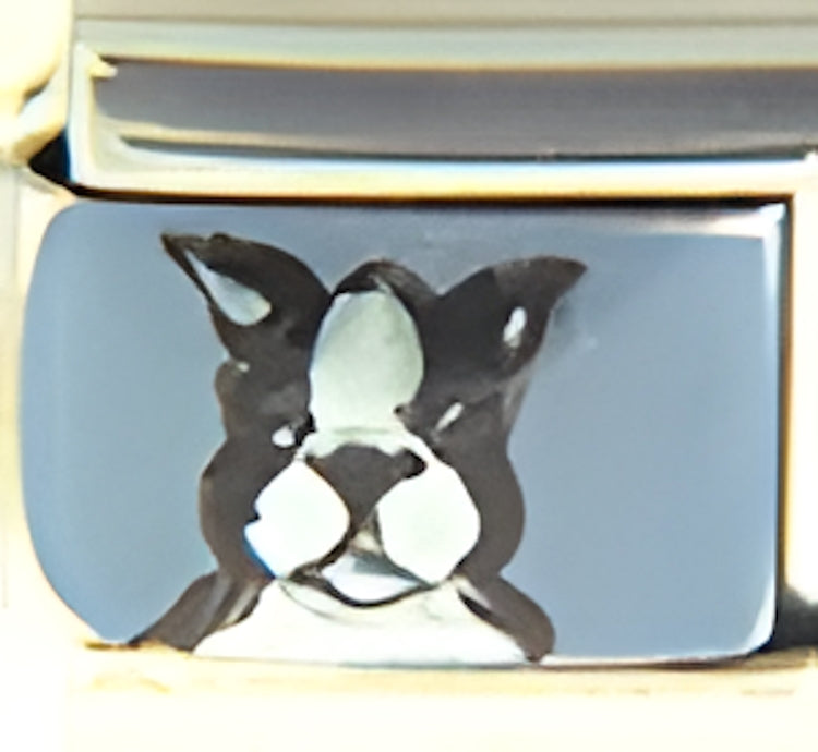 Handpainted Black and White Dog on Blue