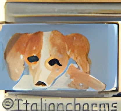 Hand Painted Jack Russell on Blue