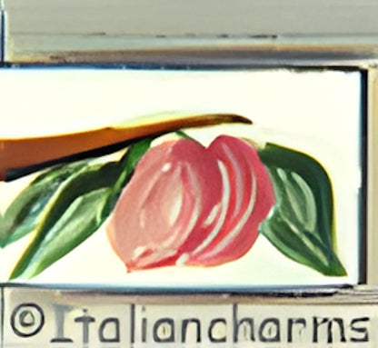Handpainted Peach on White