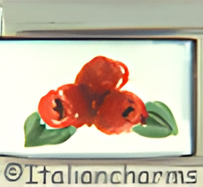 Handpainted Raspberries on White