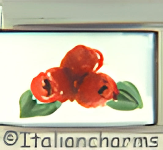 Handpainted Raspberries on White