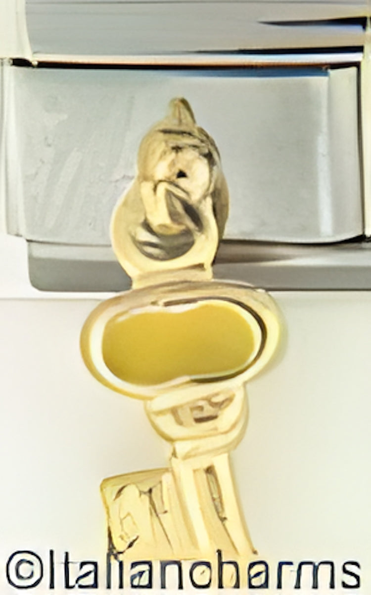 Dangle Yellow Key