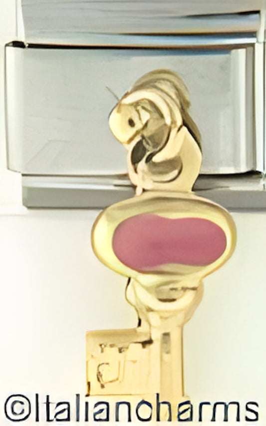 Dangle Pink Key