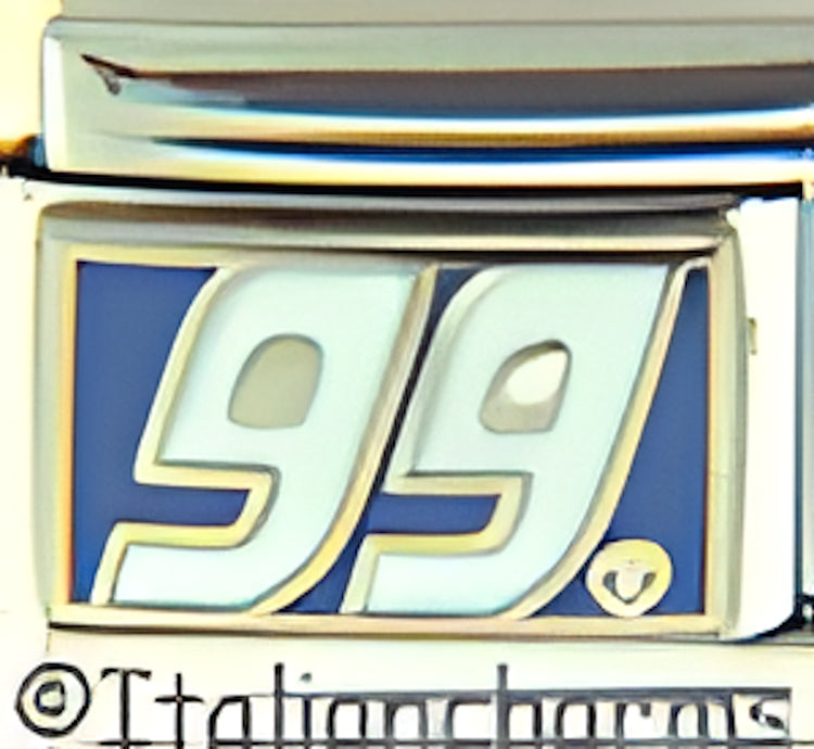 Licensed Nascar White 99 on Blue Burton