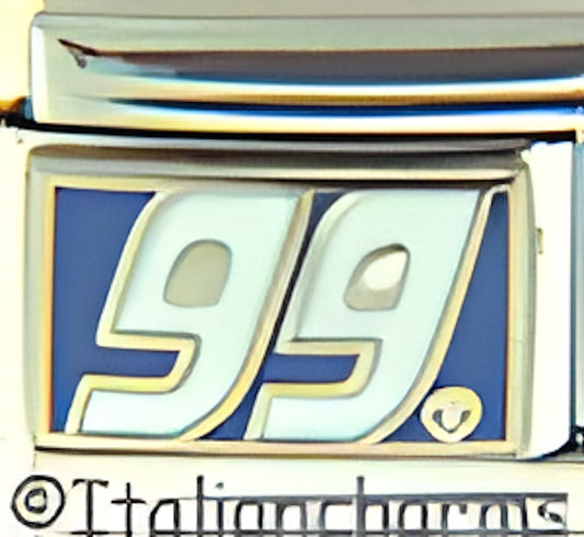 Licensed Nascar White 99 on Blue Burton