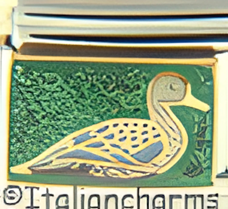 Pin Tail Duck on Sparkle Green