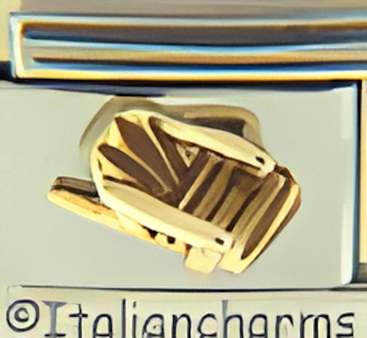 Deluxe Beach Chair