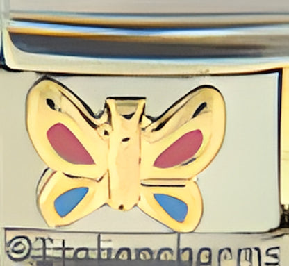 Pink and Blue Butterfly
