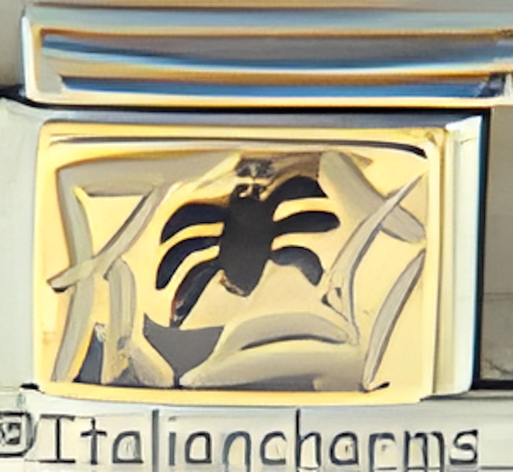 Spider on Web
