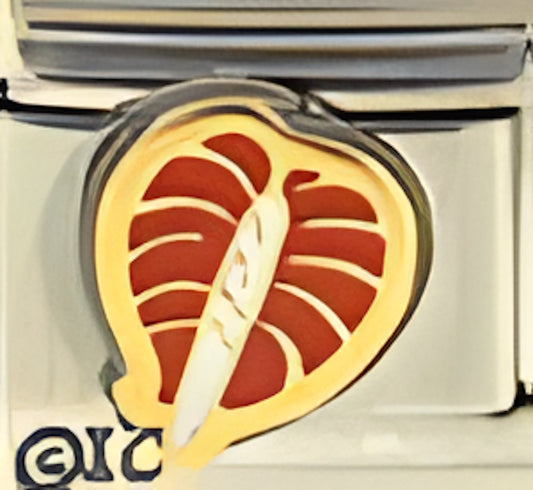 Anthurium FloweRed and Bluey Patty Ann