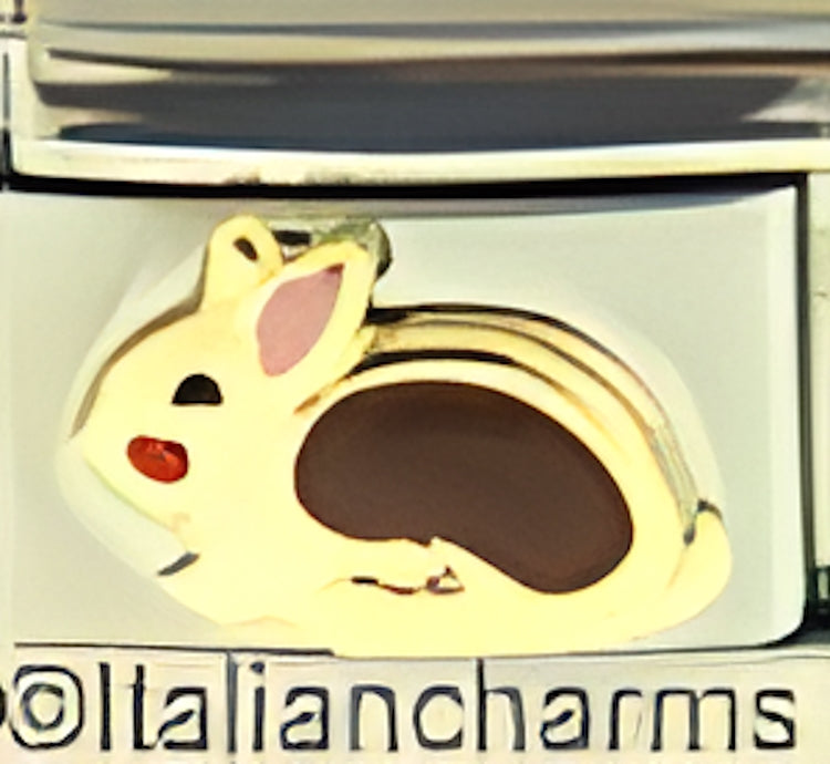 Brown Rabbit