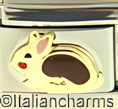 Brown Rabbit