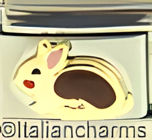 Brown Rabbit