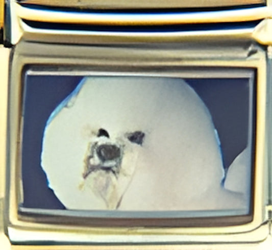 Bichon Frise on Dark Blue Photo Charm
