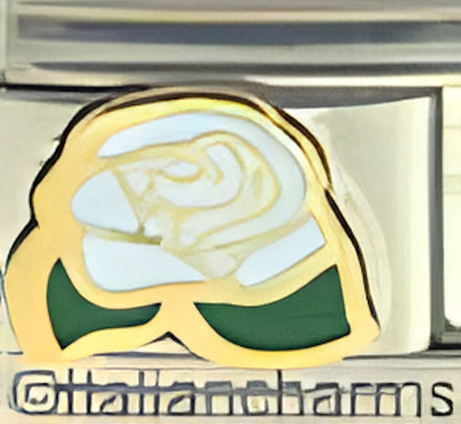 White Rose by Patty Ann