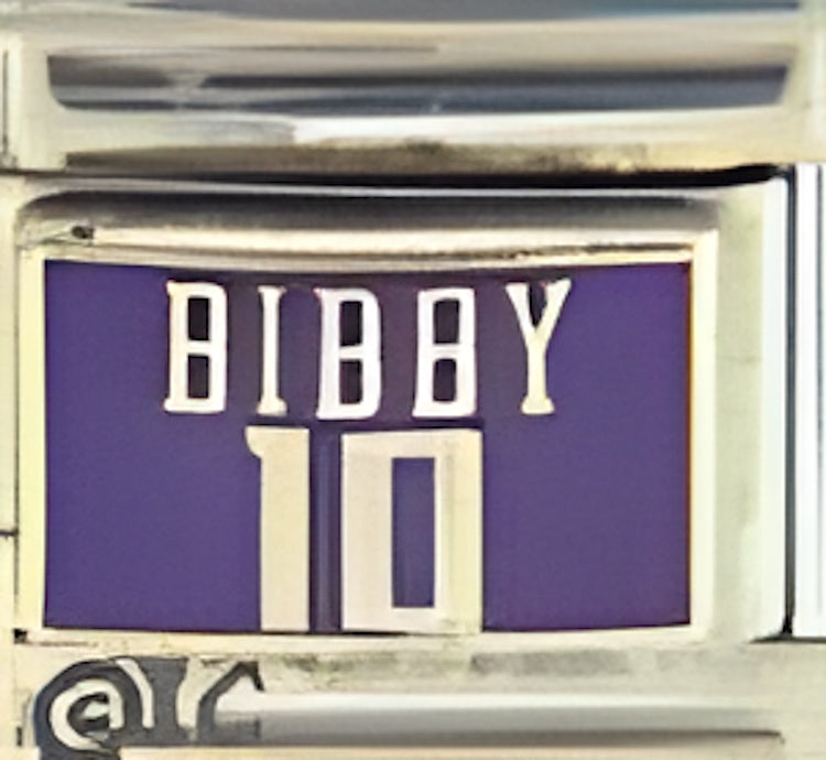 Licensed Sacramento Kings Bibby 10