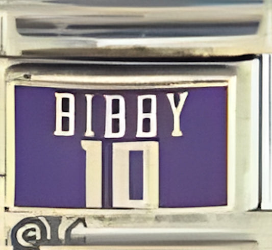 Licensed Sacramento Kings Bibby 10