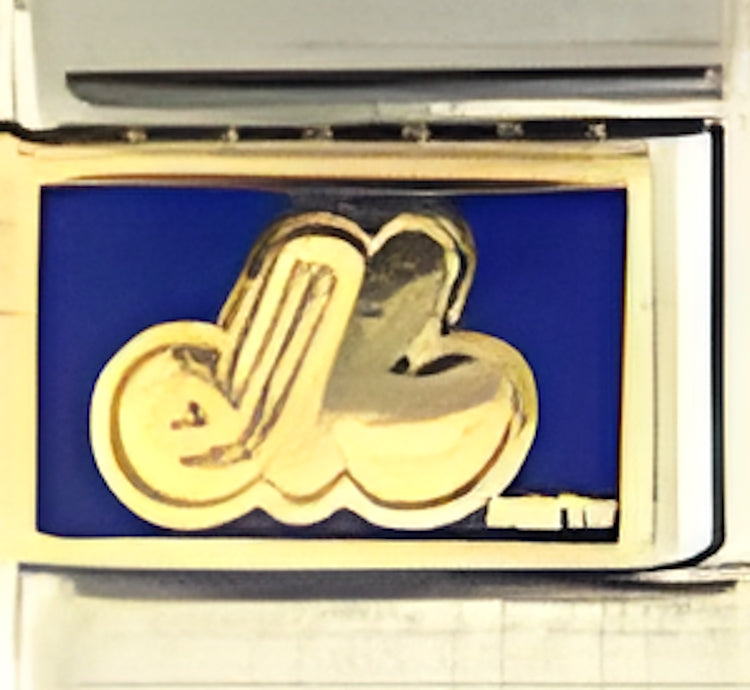Licensed Baseball Montreal Expos