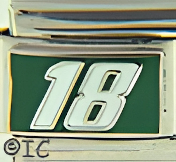 Licensed Nascar 18 on Green Bobby Labonte