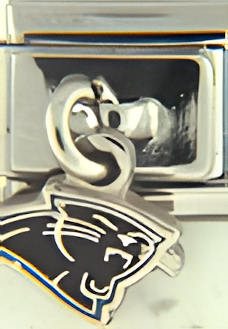 Licensed Football Two Sided Dangle Carolina Panthers