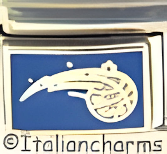 Orlando Magic Logo on Blue
