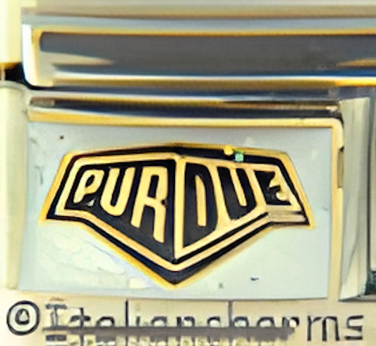Glitter Purdue Boilermaker on White