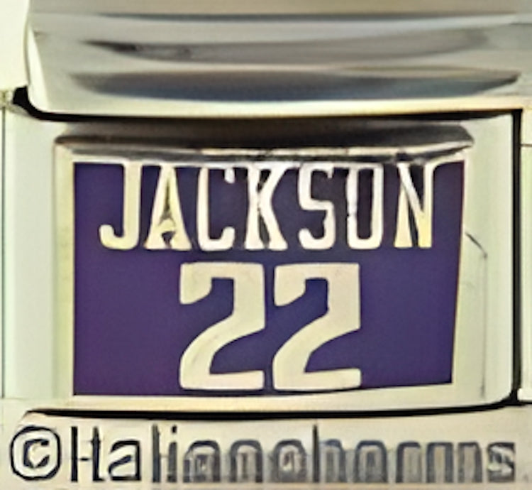 Licensed Basketball Sacramento Kings J. Jackson 22