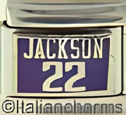 Licensed Basketball Sacramento Kings J. Jackson 22