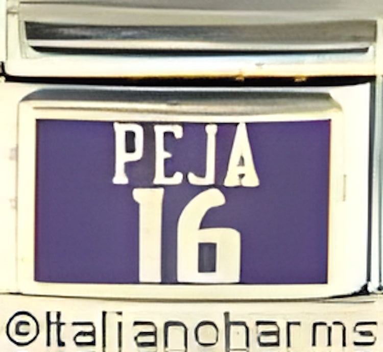 Sacramento Kings Peja 16