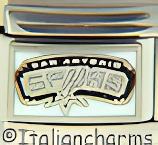 Licensed Basketball San Antonio Spurs Logo on White