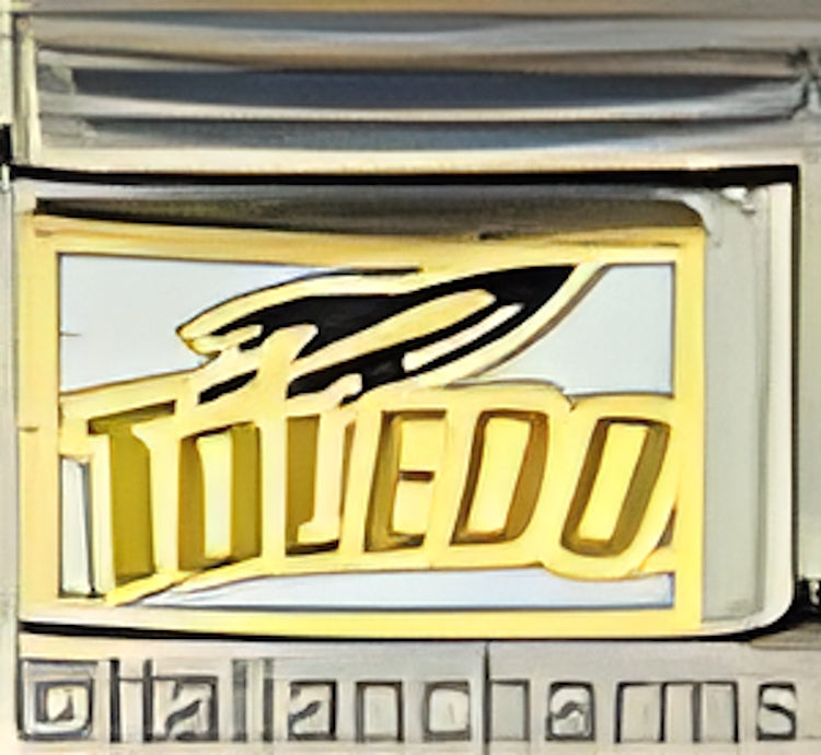 University of Toledo Rockets wh yel
