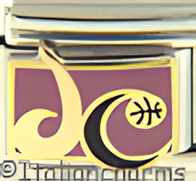 Licensed NBA Basketball Washington Wizards Full Color Logo