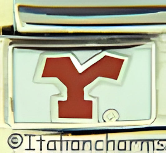 Youngstown Penguins